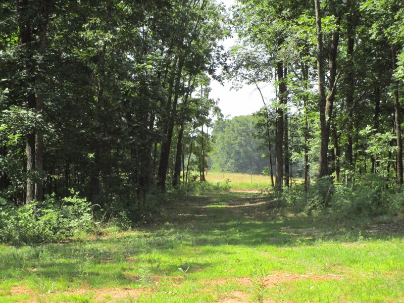 Mountain View Land for Sale : Mountain View : Howell County : Missouri
