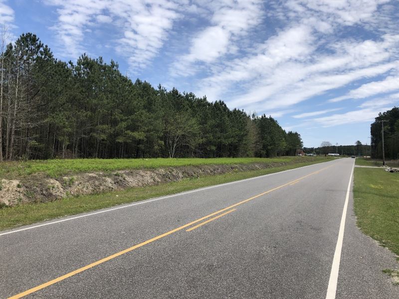 Commercial Development Potential : Lumberton : Robeson County : North Carolina