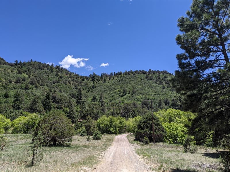 Private and Beautiful New Mexico : Cloudcroft : Otero County : New Mexico