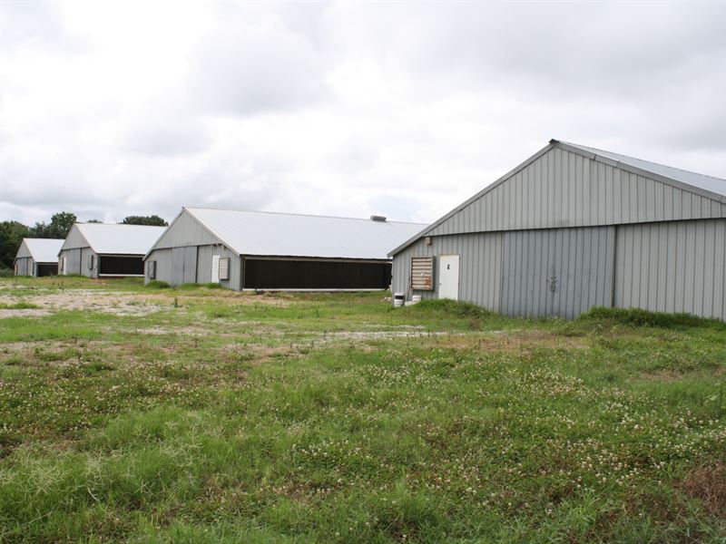 West Georgia Broiler Farm : Bowdon : Carroll County : Georgia