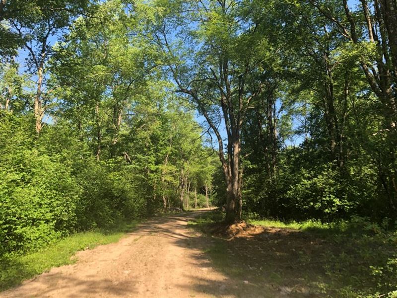 Peace & Quiet : Williamstown : Oswego County : New York