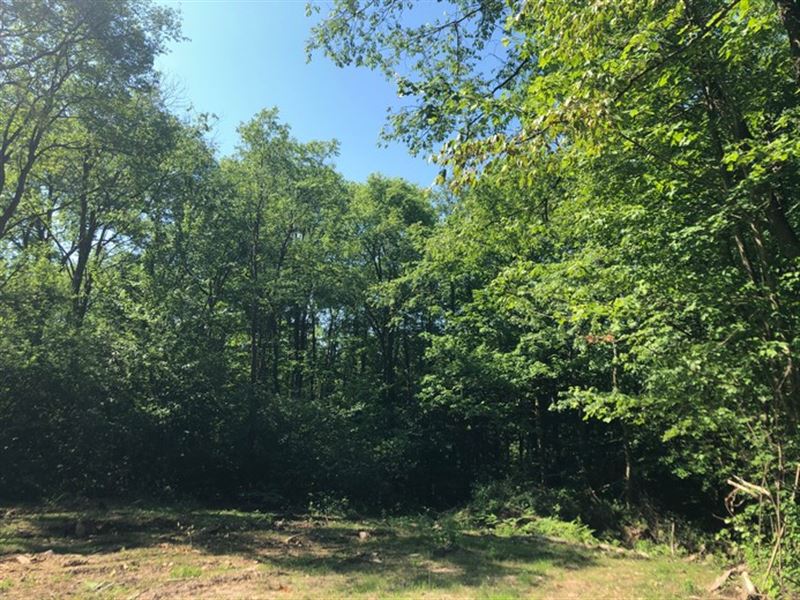 Hunter's Base Camp Lot : Williamstown : Oswego County : New York