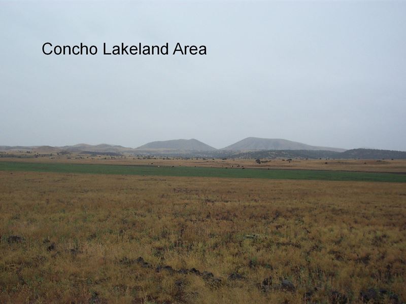 Eco-Conscious Off Grid Living : Concho : Apache County : Arizona