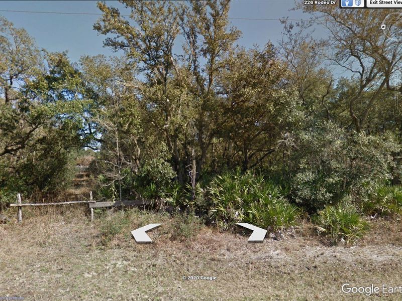 $99 Down, $100/Mo Owner Financing : Interlachen : Putnam County : Florida
