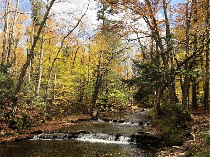 Prince Brook Water's Edge : Osceola : Lewis County : New York