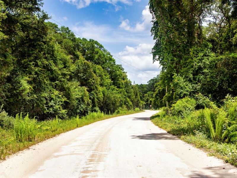 Owner Finance, Mobile Ok, 2.38 Ac : Old Town : Dixie County : Florida