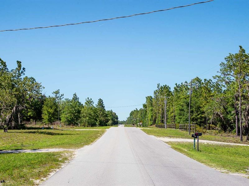Great Neighborhood Wooded Parcel : Archer : Levy County : Florida