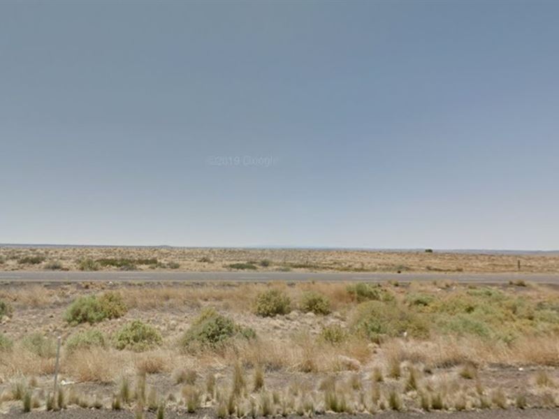 Acre Near Petrified National Forest : Sanders : Apache County : Arizona