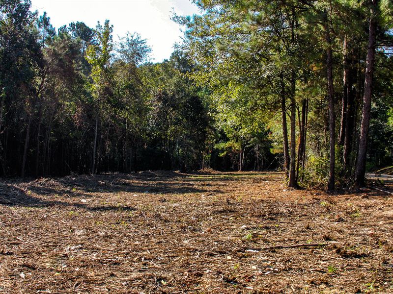 Mobile Home, City Water, Owner Fi : Roseland : Tangipahoa Parish : Louisiana