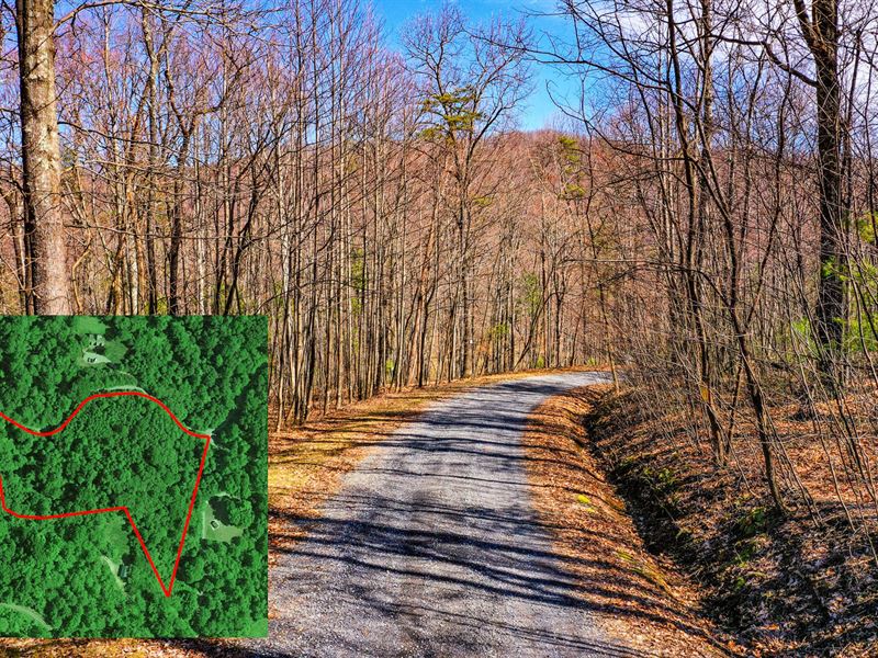 Beautiful, Has Well, Owner Finance : Amherst : Amherst County : Virginia
