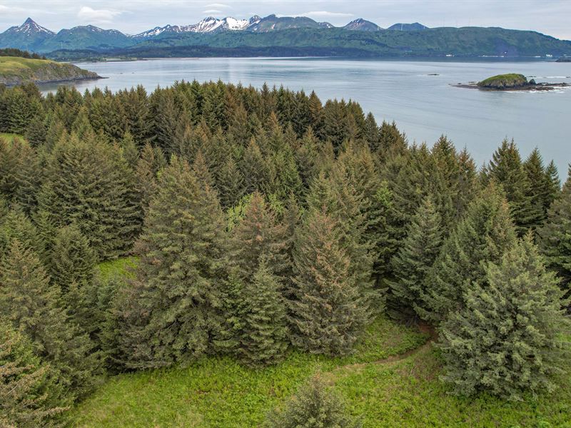 The Cliffs Lot 9, Cliff Point : Kodiak : Kodiak Island Borough : Alaska