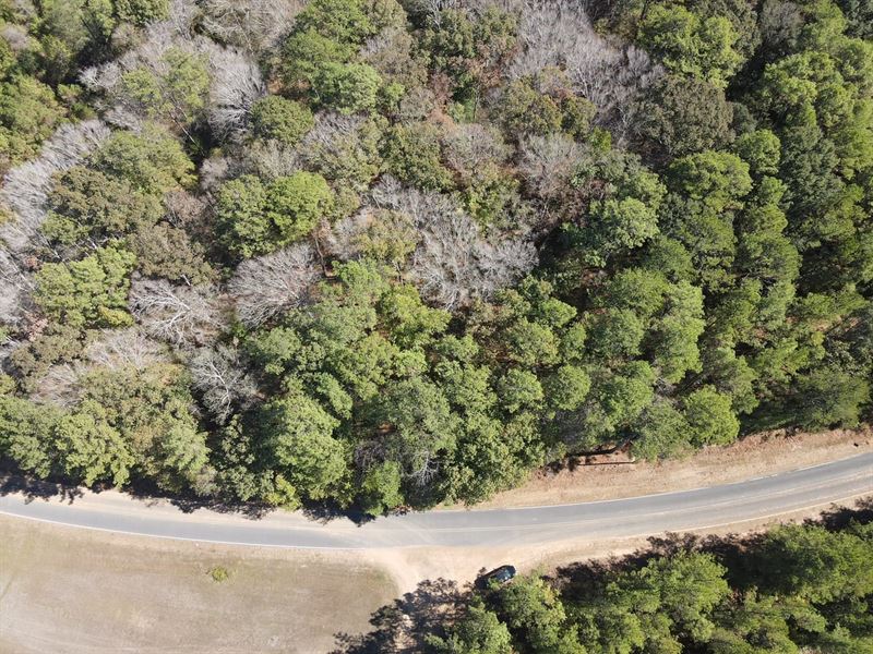 Beautiful Hardwood Bottomland : Liberty : Amite County : Mississippi