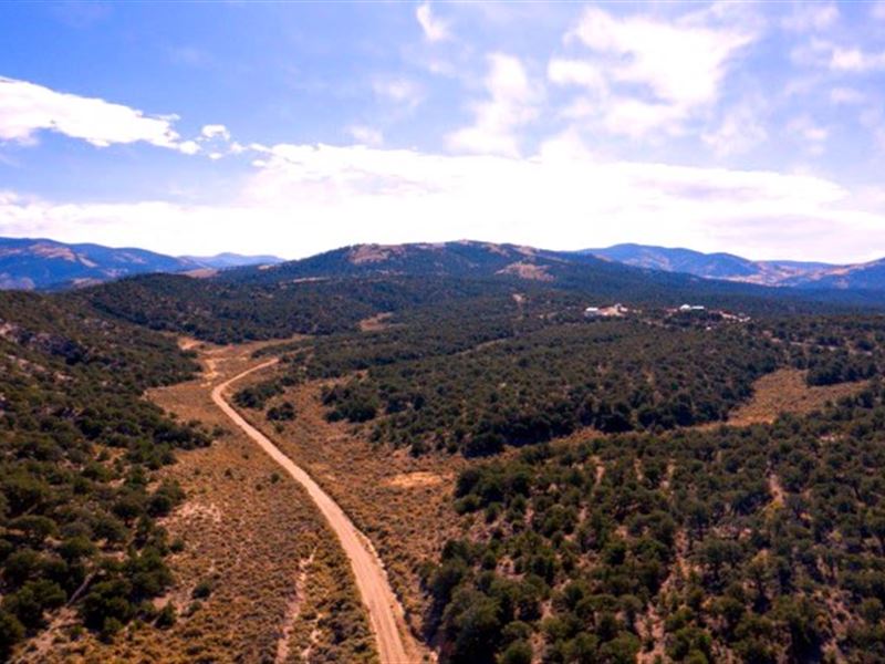 Mountain Land, Trees, Road Access : Fort Garland : Costilla County : Colorado