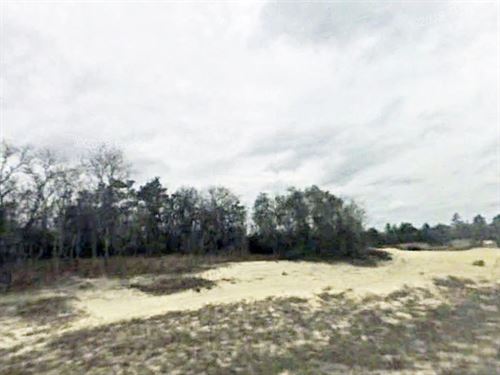 Home Site on Big Lot : Pine Ridge : Citrus County : Florida