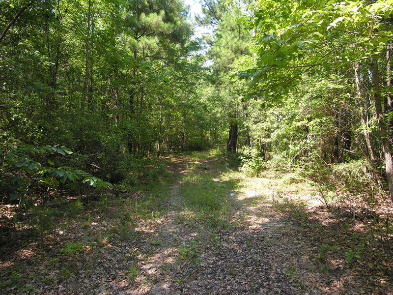 4.75 Acre Wooded Lot : Keysville : Burke County : Georgia