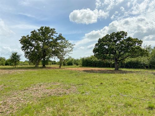 17 Acres Tract 2 Morgan Spur : Huntsville : Walker County : Texas