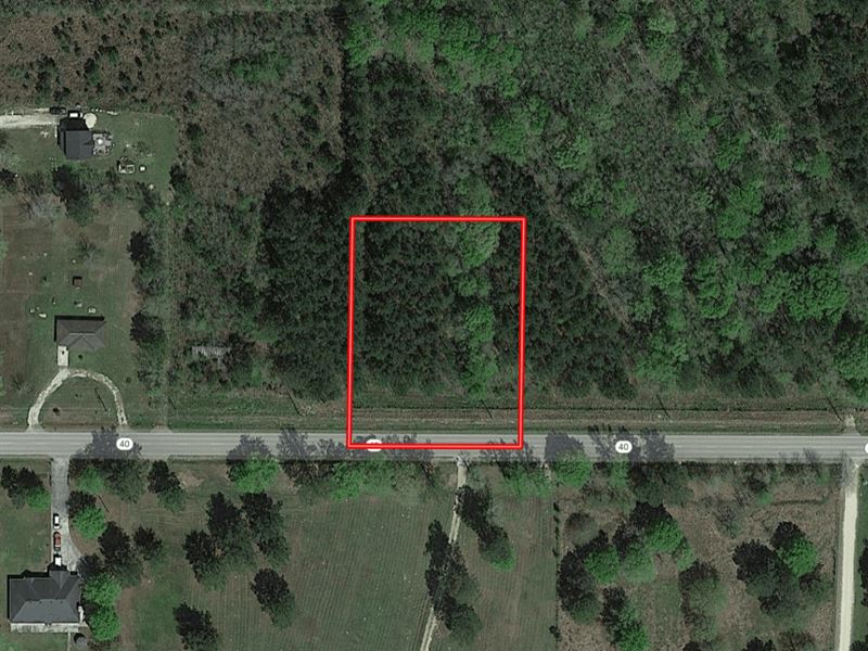 Mobile Friendly, Owner Finance : Independence : Tangipahoa Parish : Louisiana