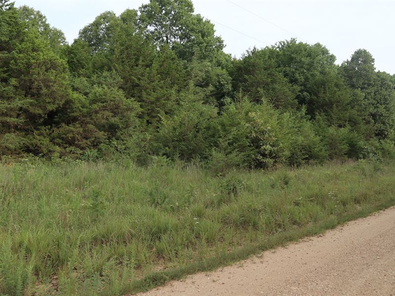 Lot for Sale in North Arkansas : Glencoe : Fulton County : Arkansas