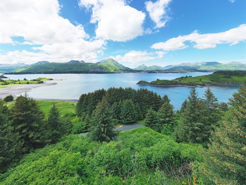 The Beaches Lot 10 Cliff Point : Kodiak : Kodiak Island Borough : Alaska