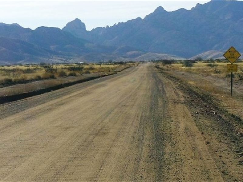 This is The One, 3/4 Acre : Sunsites : Cochise County : Arizona