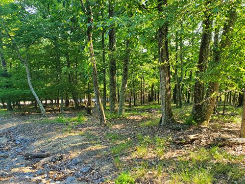 .60 Acre Corner Lot, Lake Access : Mooresburg : Hawkins County : Tennessee