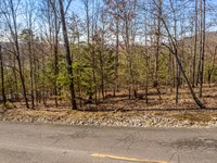 Cherokee Lake Community Corner Lot : Mooresburg : Hawkins County : Tennessee