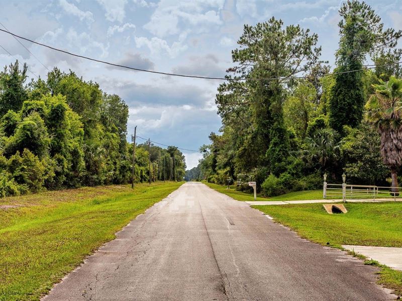 Owner Finance, Mobile Home, 1.38 Ac : Palatka : Putnam County : Florida