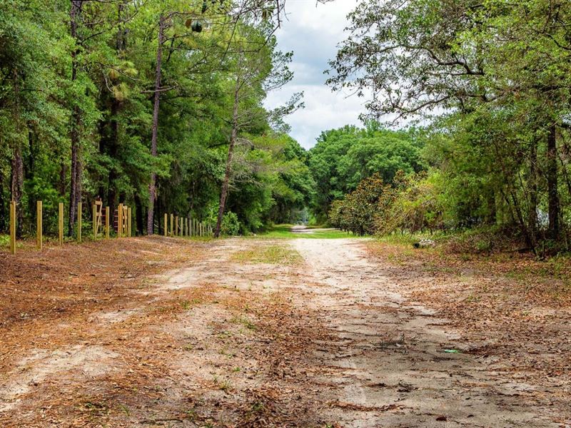 Owner Finance, Mobile Home, 1.03 Ac : Pomona Park : Putnam County : Florida