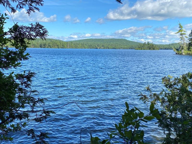 Land For Sale in Lakeview Plt, ME : Lake View : Piscataquis County : Maine