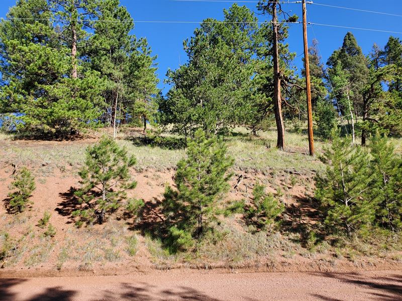 Vacant Land Wooded Teller County CO : Florissant : Teller County : Colorado
