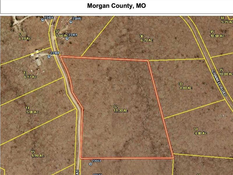 Timbered Parcel with Open Options : Barnett : Morgan County : Missouri