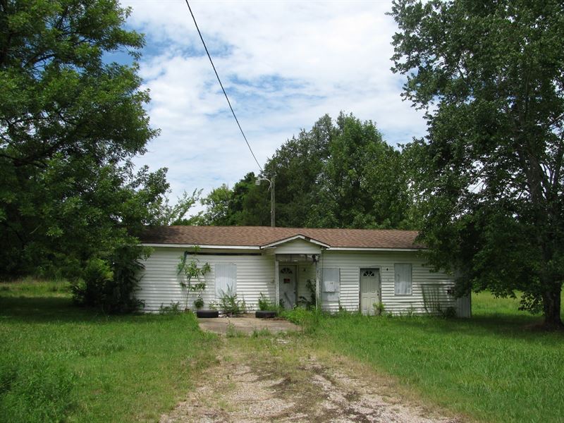 Land in Adamsville, Tn, Old House, Lot for Sale in Tennessee, 248556