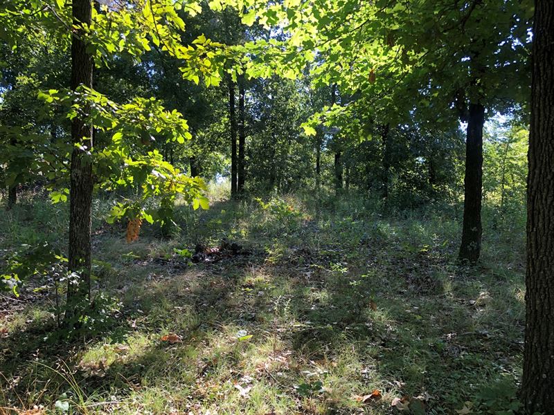 Lake Hudson Access Lot, Plum Tree, Lot for Sale in Oklahoma, 248713