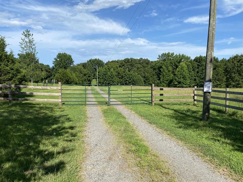 Gravel Hill Horse Farm : Romance : White County : Arkansas