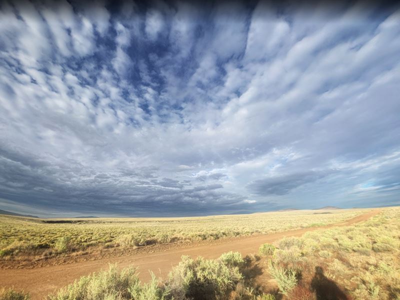 5 Acres, 1 Mile From The Rio Grande : San Luis : Costilla County : Colorado