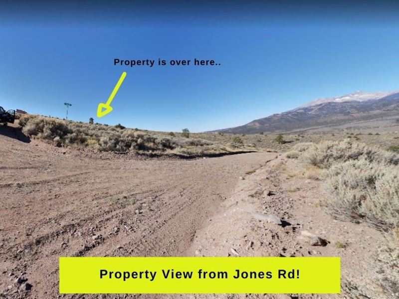 5 Acre Home Site, Off Grid : Fort Garland : Costilla County : Colorado