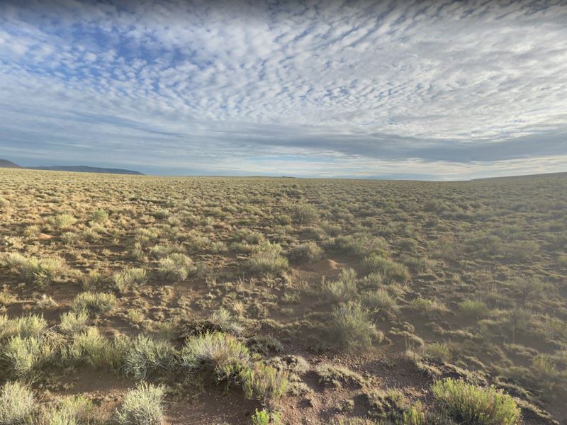 Wide Open Spaces, 5 Acres Worth : San Luis : Costilla County : Colorado