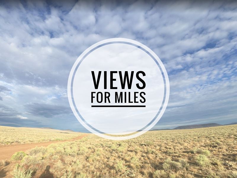 No Neighbors, No Problem : San Luis : Costilla County : Colorado
