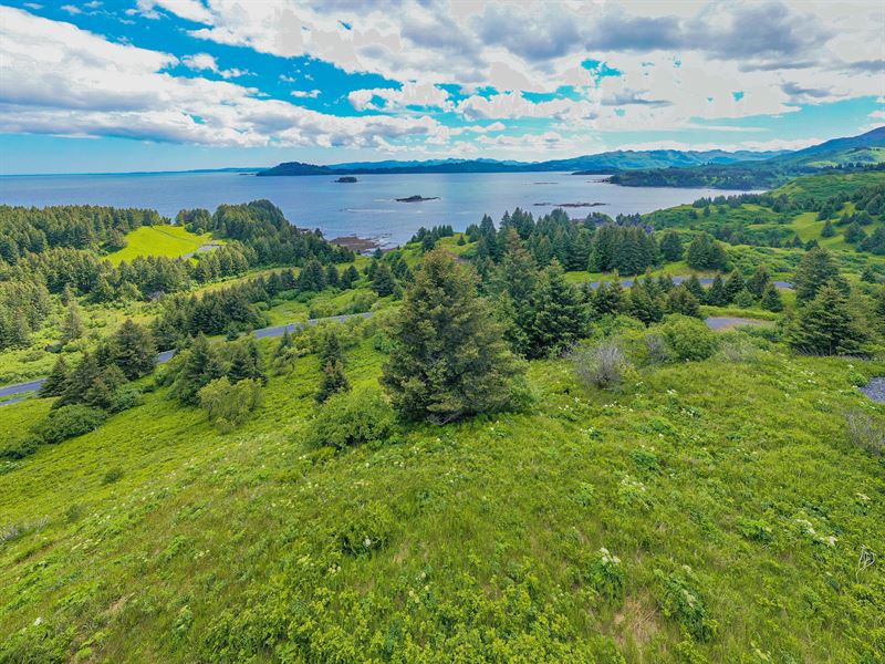 Highliner Lot 3 Cliff Point Estates : Kodiak : Kodiak Island Borough : Alaska