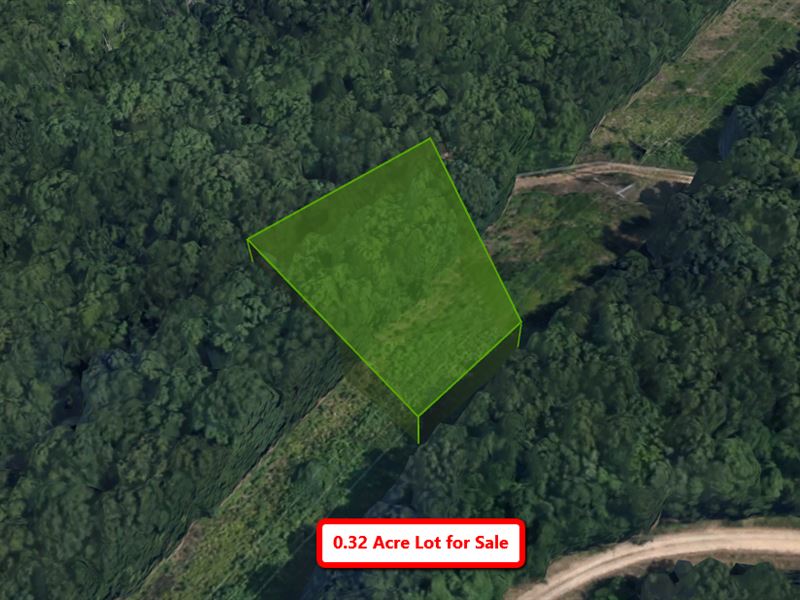 .32 Acre Close to a Lake : Ridgedale : Taney County : Missouri