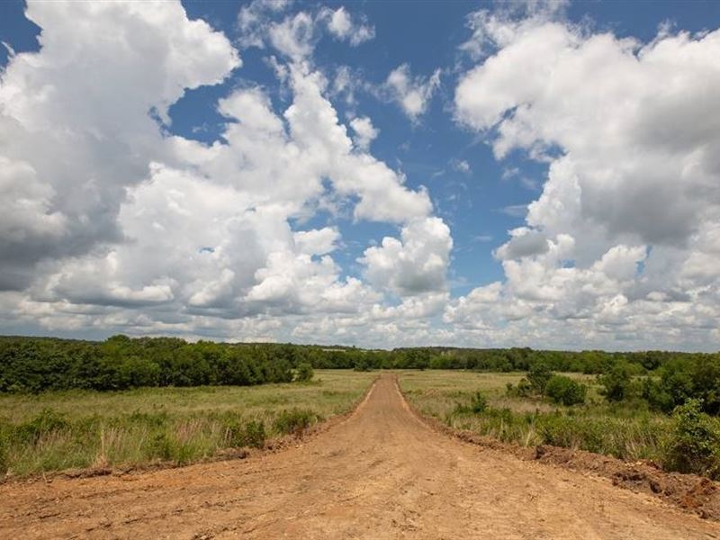Oklahoma, Pittsburg County : McAlester : Pittsburg County : Oklahoma
