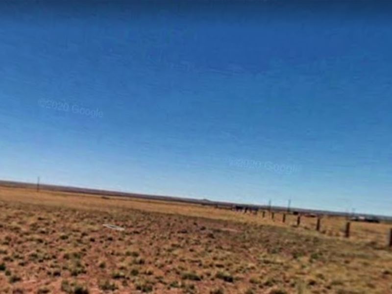$79/Mo Acre Campsite : Holbrook : Navajo County : Arizona