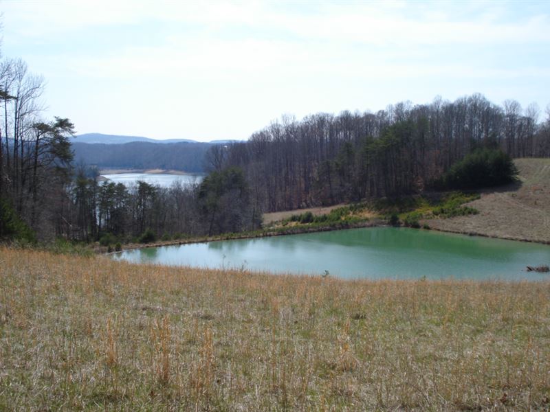 homes for sale albany ky