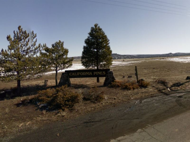 1.46 Acres Wooded Lot in California : Redding : Modoc County : California