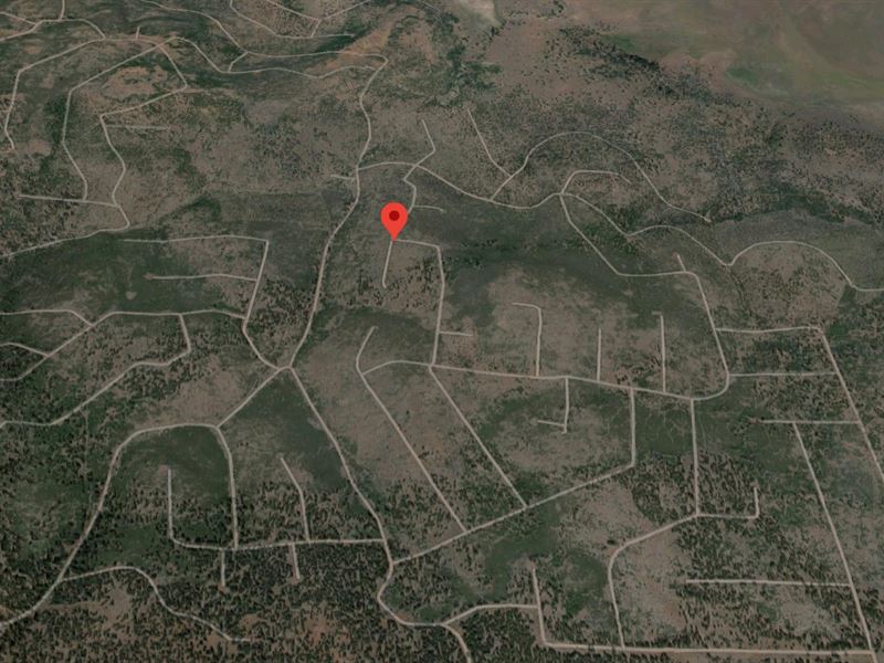 .975 Acres in California Pines : California Pines : Modoc County : California