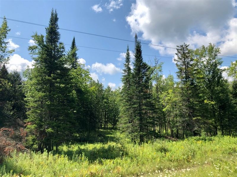 Forestport, Near Adirondacks : Forestport : Oneida County : New York