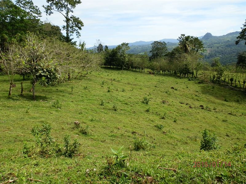 12.9 Ac, Fertile Mtn Soil, Springs : Santa Teresita De Turrialba : Costa Rica