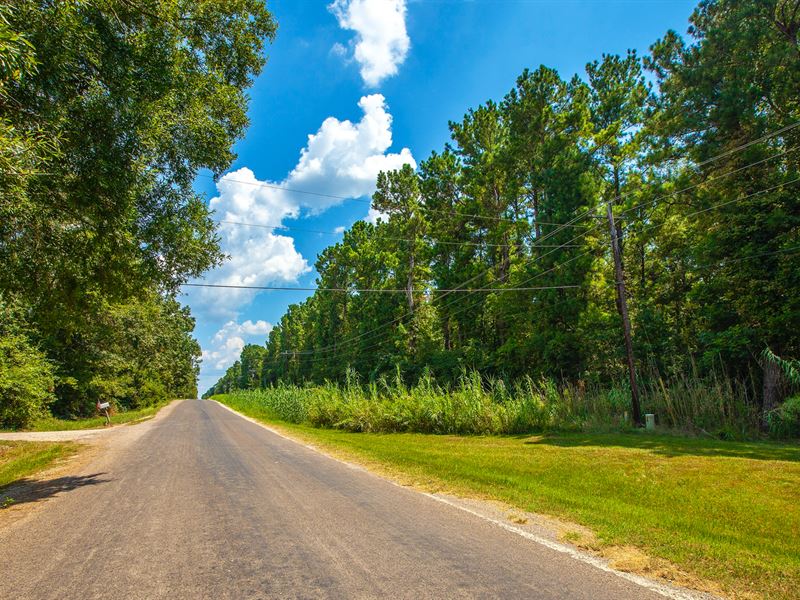 Lot with Utilities & Road Frontage : Livingston : Polk County : Texas