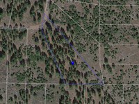Rural Wooded Lot in California : California Pines : Modoc County : California
