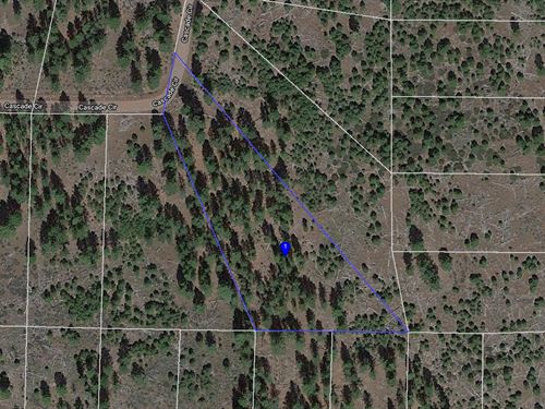 Rural Wooded Lot in California : California Pines : Modoc County : California